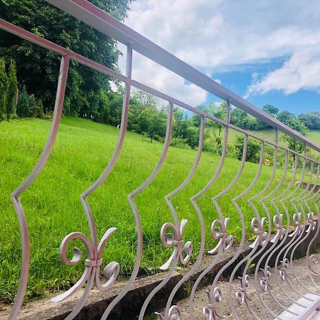 Hotel Poenita シギショアラ エクステリア 写真